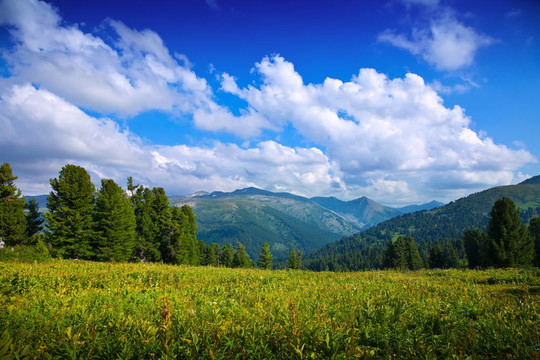 森林山地景觀