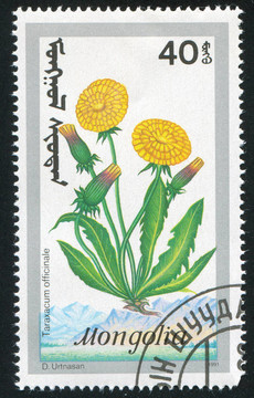 花