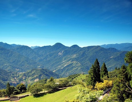 山中高山牧場