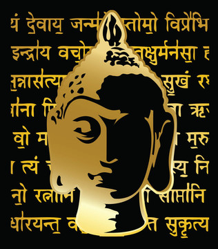 向量金佛