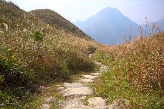 山上的石頭路