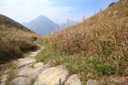 山上的石頭路