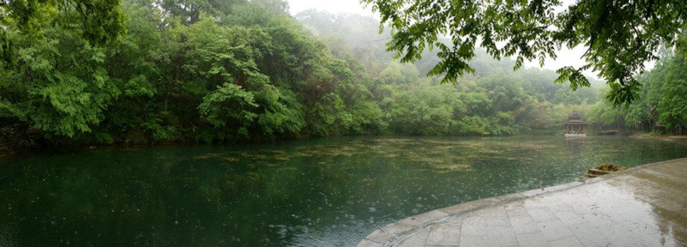 公園雨季