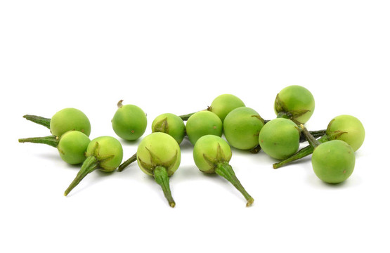 刺天茄