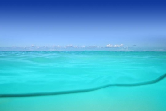 水線加勒比海水下和藍色的大海