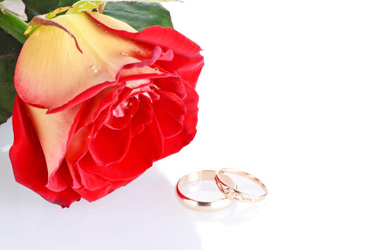 兩個(gè)結(jié)婚戒指以新鮮紅玫瑰為婚禮理念