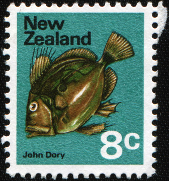 Zeus Faber（John Dory）