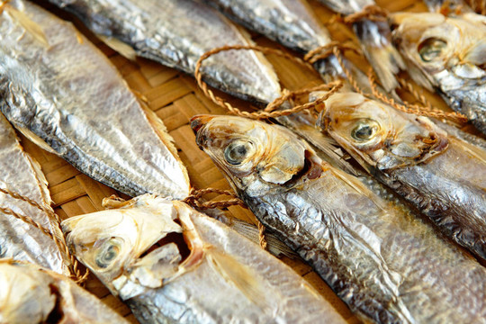 干鹽魚