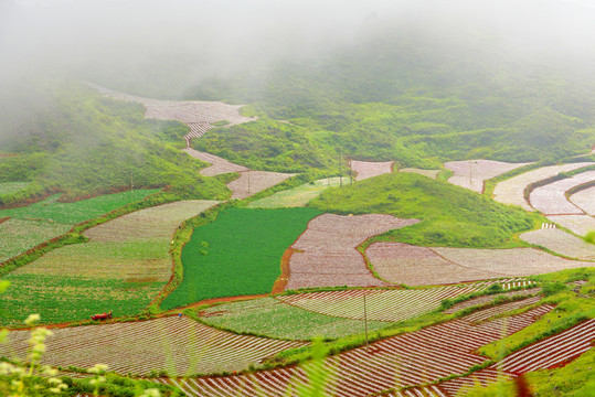 美麗田園