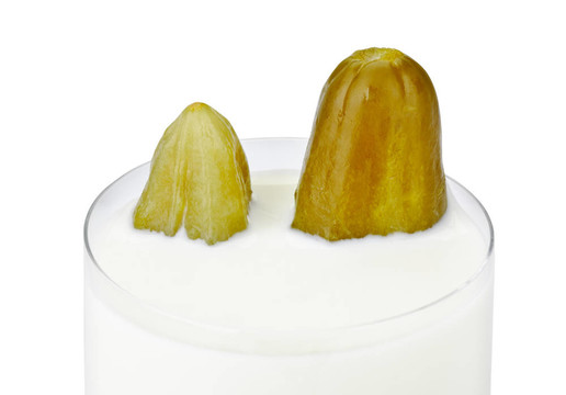 不兼容的吃牛奶和腌黃瓜產(chǎn)品