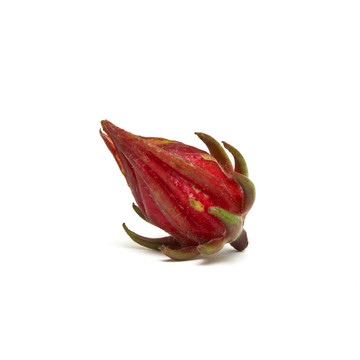 玫瑰花蕾