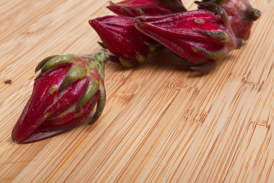 玫瑰花蕾