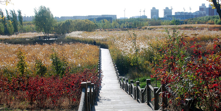 奧森公園 潛流濕地 沉水廊橋