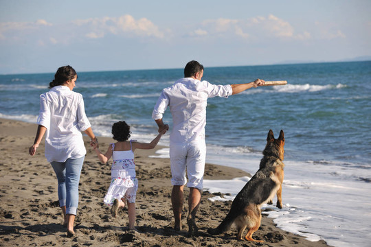 和狗在海滩上玩的快乐的家庭