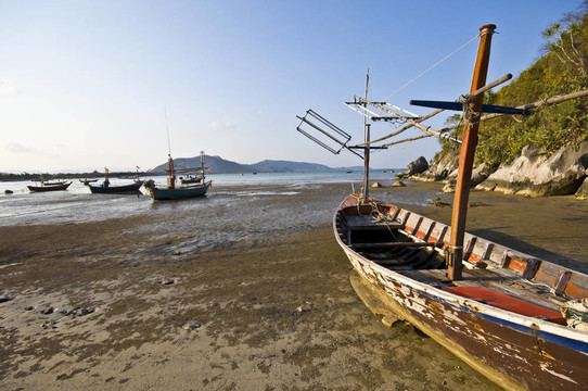 AO NOI