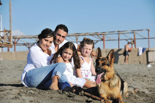 和狗在海滩上玩的快乐的家庭