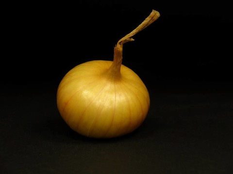 泡洋蔥
