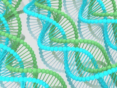 基因在DNA