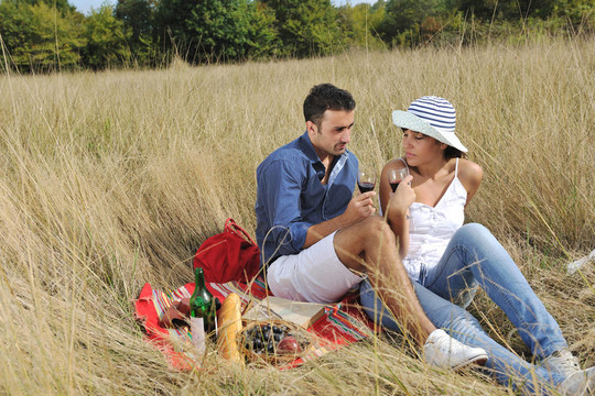 快乐夫妇在长草地享受乡村野餐