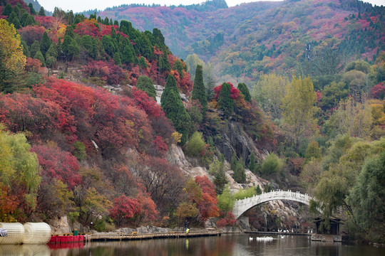 紅葉谷景色