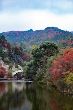 紅葉谷景色