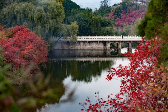 紅葉谷景色