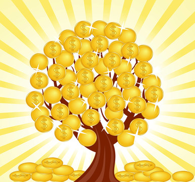 金錢樹