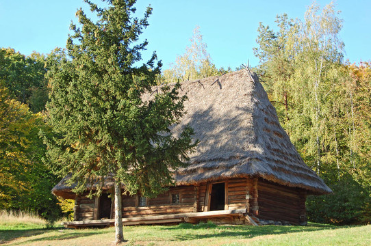 在古代carpatian森林小屋