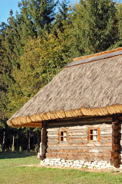 在古代carpatian森林小屋