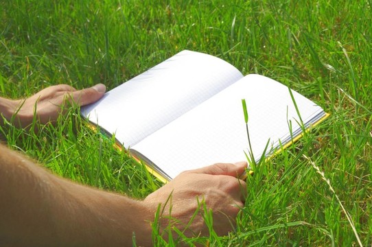 在草地上打開書