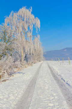 鄉(xiāng)間小路穿過白雪皚皚的田野。垂直地.（捷克共和國）