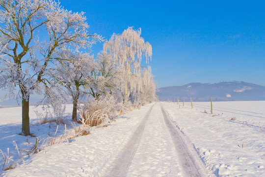鄉(xiāng)間小路穿過白雪皚皚的田野。水平。（捷克共和國）