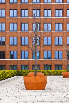 现代砖建筑的正面与前面的树