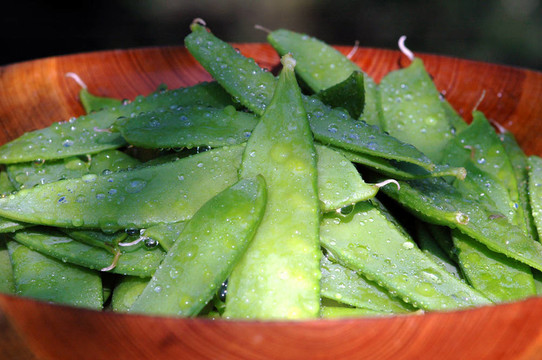 豌豆莢