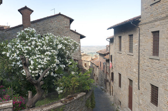 Cortona（阿雷佐）