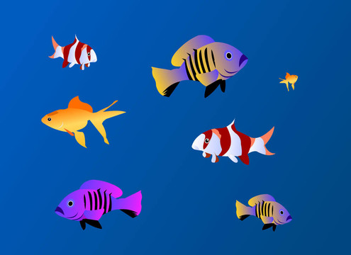 魚類的水族箱背景