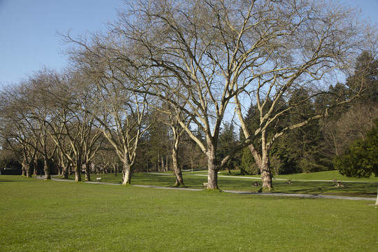 溫哥華斯坦利公園；