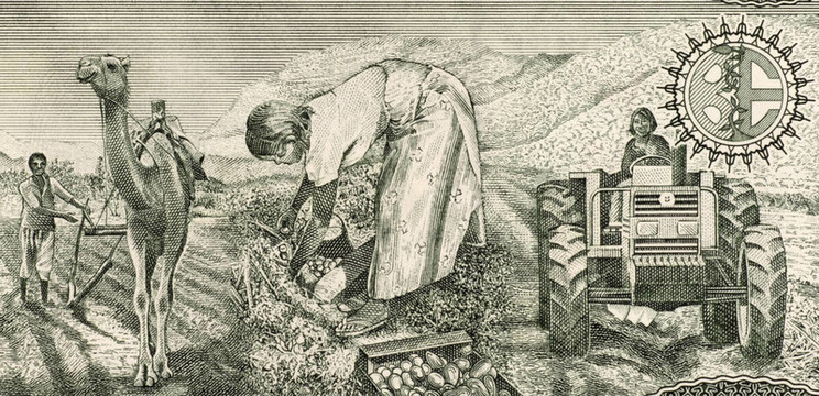 厄立特里亚的农民