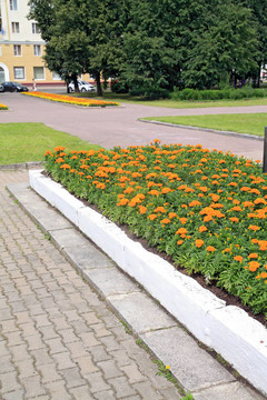 鎮(zhèn)公園草坪