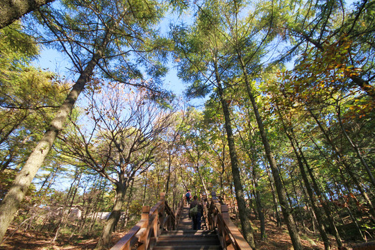 山東臨沂龜蒙蒙山景區(qū)秋色美