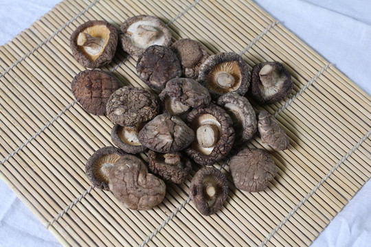 香菇