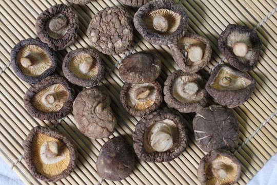 香菇