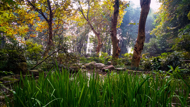 望江公園