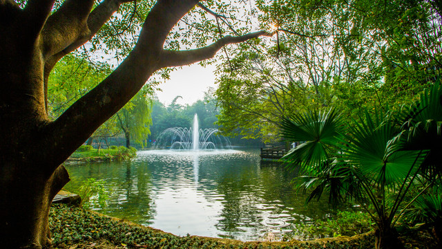 望江公園