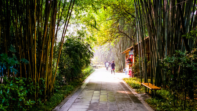 望江公園