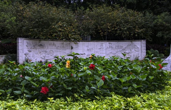 公園  綠化  鮮花