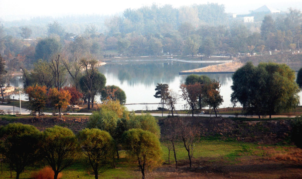 北京奧森公園 濕地