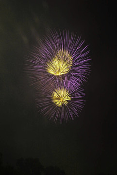 黑色天空背景下的煙花
