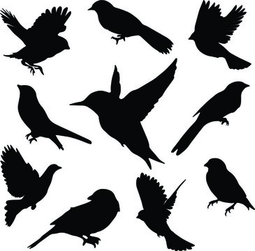 集合鳥類