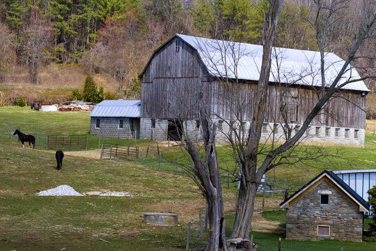 馬和Barn